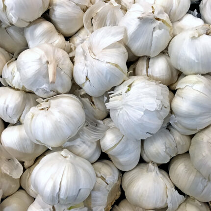 A cluster of small, white, papery-skinned bulbs, each with several segments, arranged together with green stems and leaves attached.
