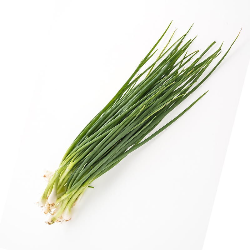 Chives The leaves are typically slender and hollow, similar to grass blades. Chives are commonly used as a garnish or ingredient in various dishes, including soups, salads, and omelets.