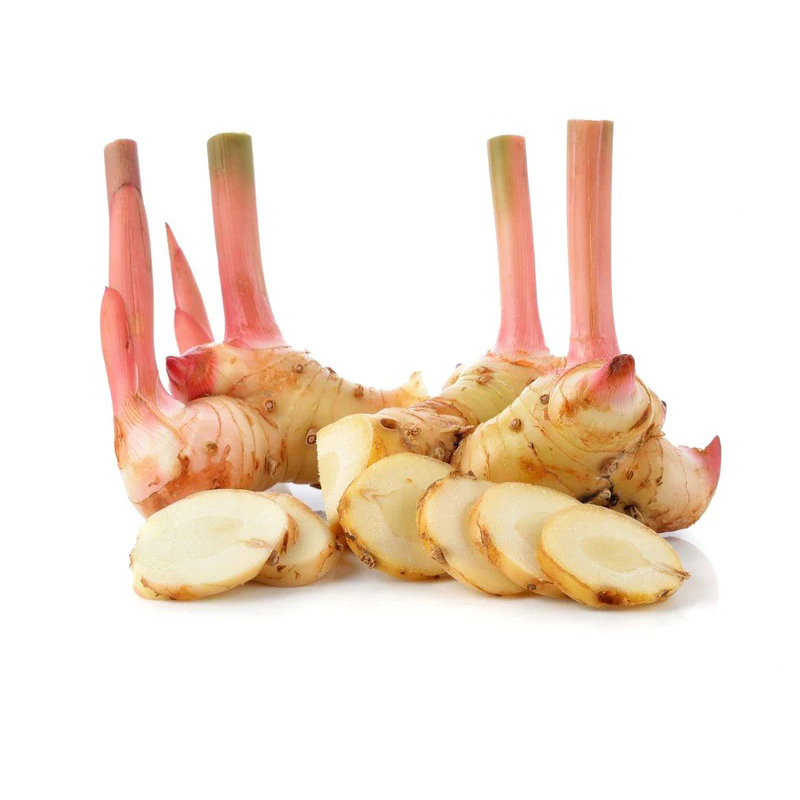 Galangal The galangal root has a light brown, woody exterior with a firm texture. It is commonly used in Southeast Asian cuisine, particularly Thai, Indonesian, and Malaysian dishes. Galangal has a pungent and citrusy flavor, with hints of ginger and pepper.