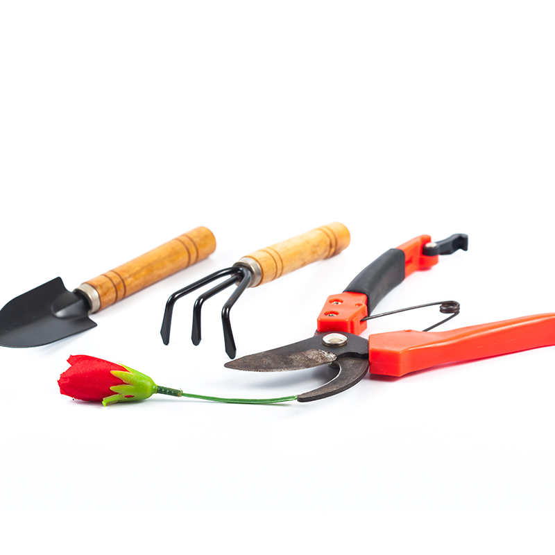 Gardening Tools. These tools are used for various gardening tasks such as digging, planting, pruning, and weeding. Gardening tools come in different sizes and shapes, with ergonomic handles for comfortable grip and ease of use.