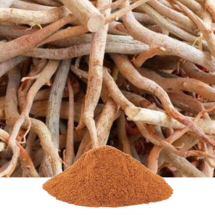 The image may show the plant itself, its roots, or extracts derived from it. Longjack is highly valued for its traditional use as an herbal remedy and aphrodisiac. It is known for its potential benefits in supporting male sexual health, boosting testosterone levels, and enhancing energy and vitality.