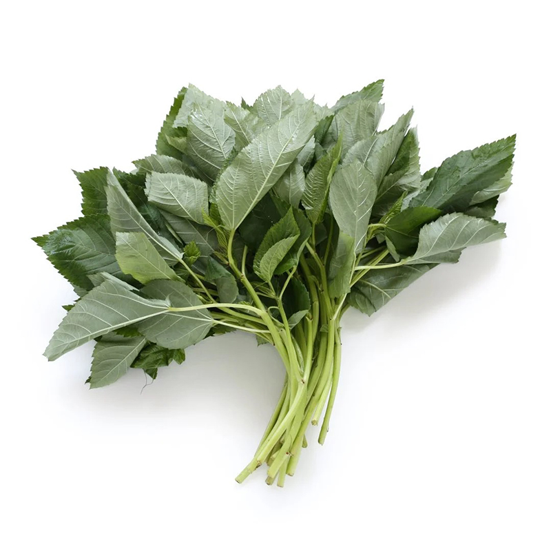 Molokhia . The leaves of Molokhia are medium to dark green in color and have a slightly wrinkled or serrated appearance. Molokhia is known for its mucilaginous texture when cooked.