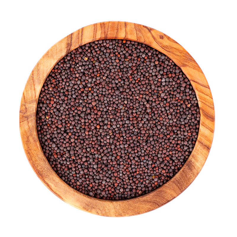 Mustard Mustard seeds are commonly used as a spice in culinary applications, particularly in Indian, Middle Eastern, and European cuisines. They have a pungent, spicy flavor and can be used whole or ground into a powder. Mustard seeds are also used to make condiments such as mustard sauce and are known for their potential health benefits.