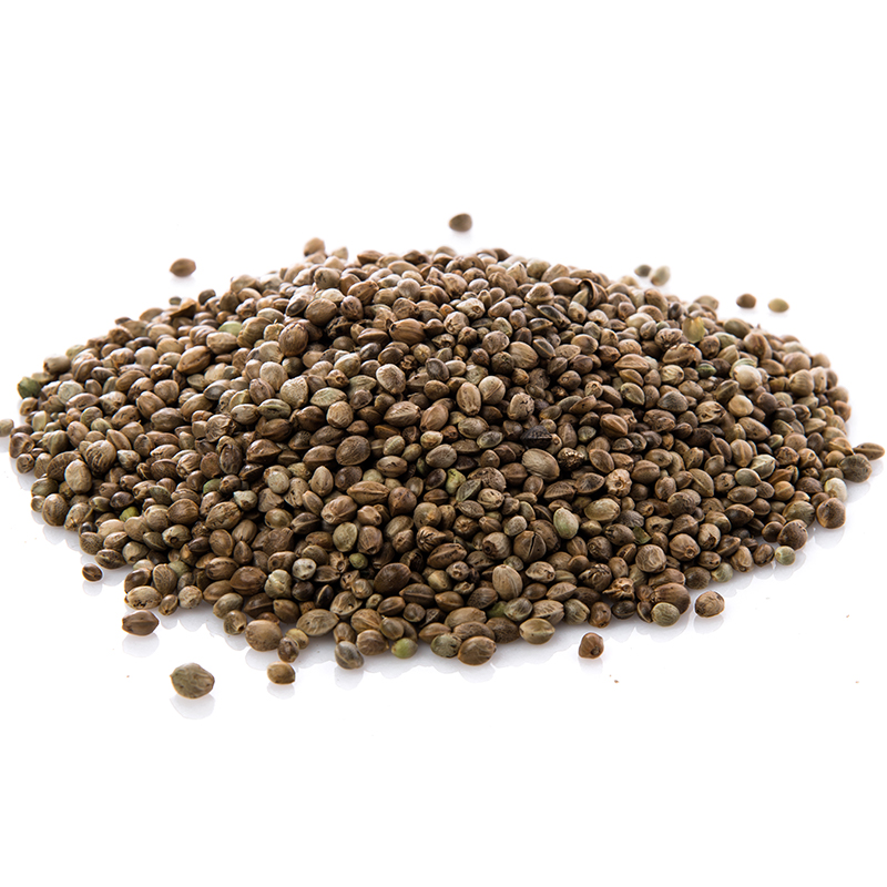 Perilla Seeds "Image of Perilla Seeds - Small, flat seeds with a dark brown color and a nutty, slightly minty flavor. Perilla seeds are commonly used in Asian cuisines, particularly in Korean and Japanese dishes. They can be used whole or ground to add flavor and texture to various dishes, such as rice, soups, and sauces. Perilla seeds are also known for their potential health benefits, such as reducing inflammation and improving respiratory function.