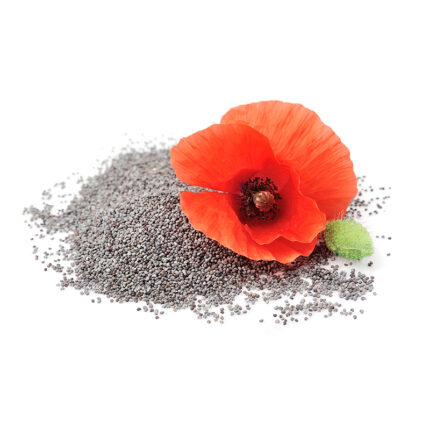 Poppy seeds are commonly used in culinary applications, particularly in baked goods, such as muffins, cakes, and breads. They can also be used as a garnish for salads and other dishes. Poppy seeds are also known for their potential health benefits, such as being a good source of protein, fiber, and essential minerals, such as calcium, iron, and magnesium.