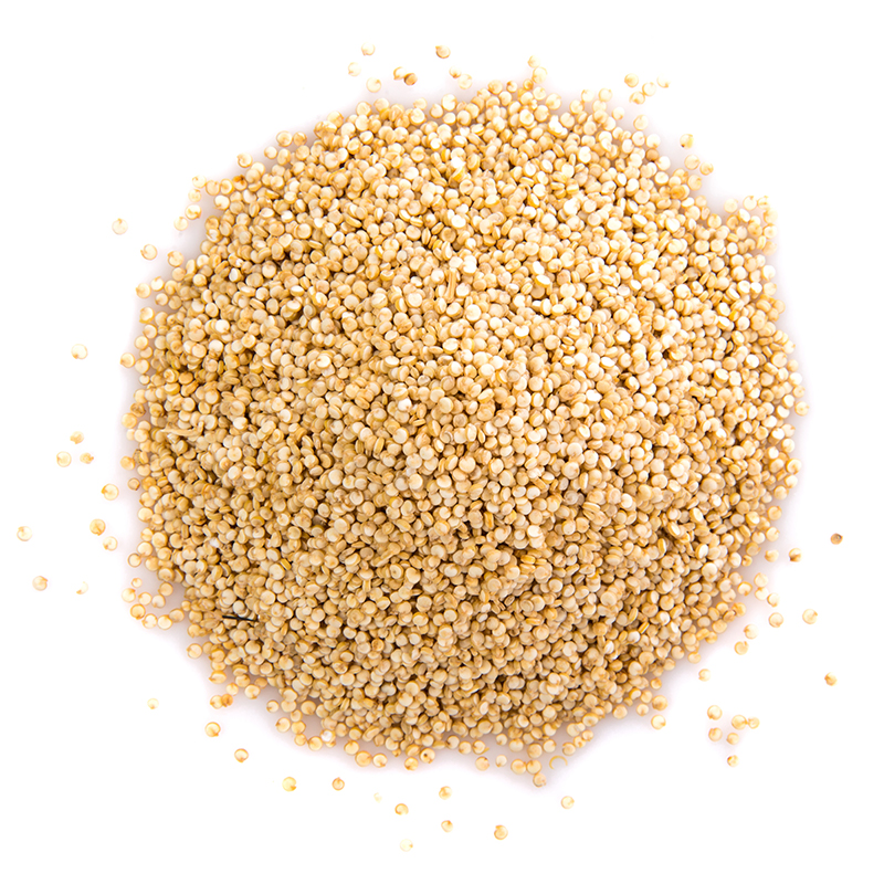 Quinoa Seed The quinoa seeds are small and round with a flat shape and a light beige color. They have a slightly glossy surface and are arranged in a pile. The image captures the appearance of quinoa seeds, a popular gluten-free grain known for their nutty flavor and versatile use in various dishes. The alt text conveys the small, round, flat shape, light beige color, and glossy surface of quinoa seeds. Quinoa seeds can be cooked and used as a base for salads, stir-fries, and bowls, or used as a side dish to complement various protein sources.