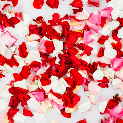 The rose petals are small and delicate with a light pink color and a slightly wrinkled texture. They are arranged in a circular pattern and fill the frame of the image. The image captures the appearance of dried rose petals, a popular herb used for culinary and decorative purposes.