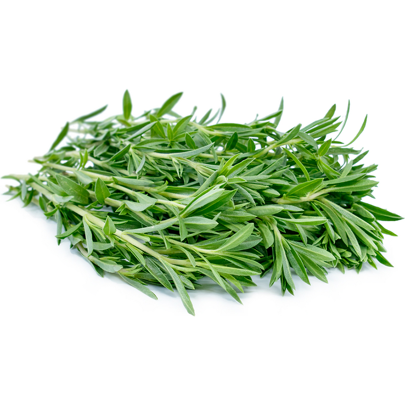 Savory The savory leaves are small, oval-shaped, and dark green with a slightly fuzzy texture. They are arranged in a cluster and fill the frame of the image. The image captures the appearance of fresh savory leaves, a herb commonly used for its culinary flavor and medicinal properties.