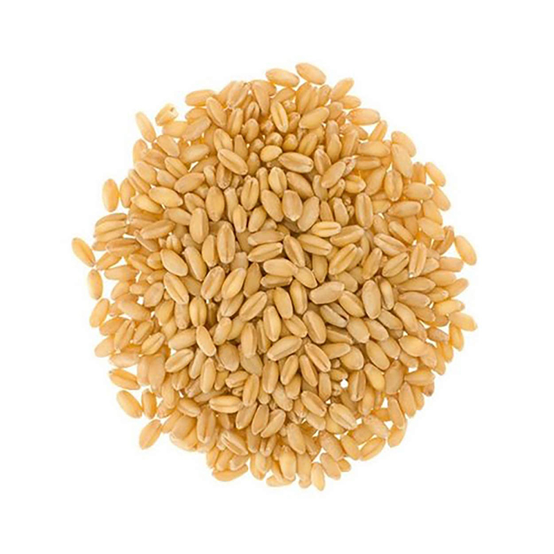 Sharbati Sharbati rice is known for its delicate flavor, distinct aroma, and soft, fluffy texture. It has long and slender grains that elongate upon cooking, offering an exquisite visual appeal to rice-based dishes.