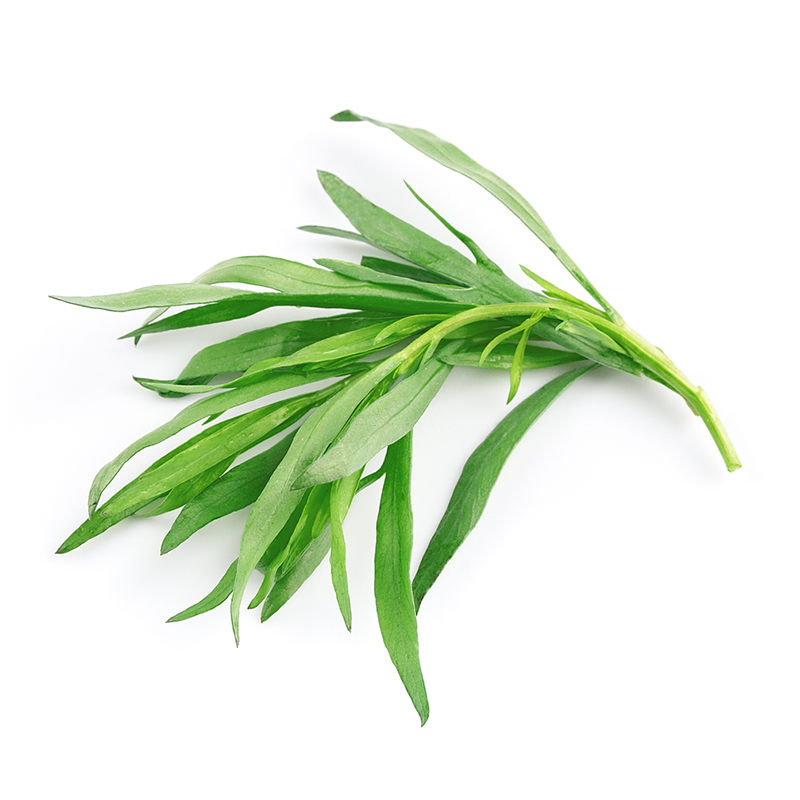 Tarragon A bunch of fresh tarragon leaves, known for their long, narrow shape and light green color, commonly used as a culinary herb for its unique and slightly bittersweet flavor.