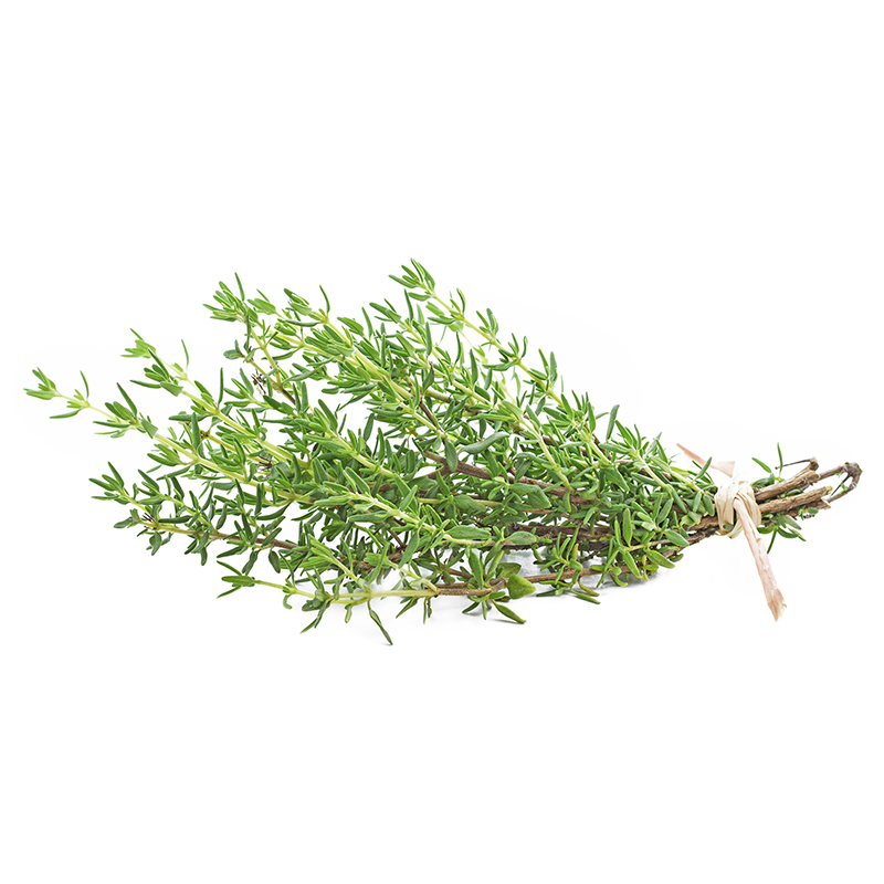 Thyme Sprigs of fresh thyme, a fragrant herb with small, green leaves and woody stems, commonly used in cooking to add flavor to a variety of dishes, such as soups, stews, and sauces.
