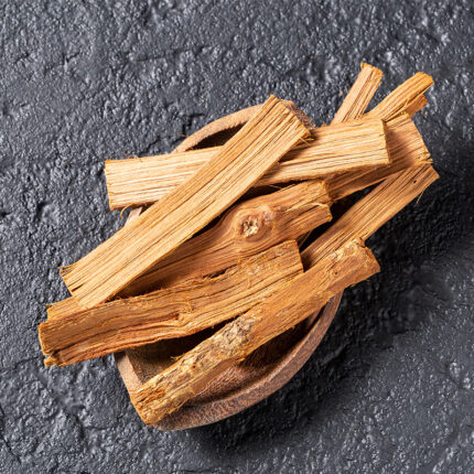 A vine of Uncaria plant, commonly known as cat's claw, with green leaves and sharp curved thorns resembling a cat's claw. This medicinal plant is native to the Amazon rainforest and has been used for centuries in traditional medicine to treat various ailments, such as inflammation and arthritis.