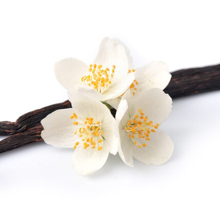 everal vanilla pods, a long, narrow, brown bean harvested from the vanilla orchid plant, known for its sweet and fragrant aroma and flavor. Vanilla is commonly used in cooking and baking to add a rich, warm, and sweet taste to various dishes, such as cakes, cookies, and ice cream.