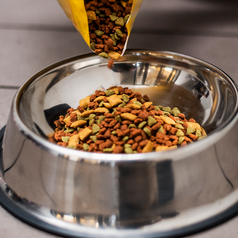 Antiskid pet bowl The bowl is designed to provide stability and minimize spills, ensuring a mess-free feeding experience for your furry friend.